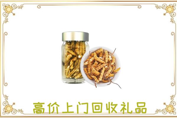 罗平周边回收虫草